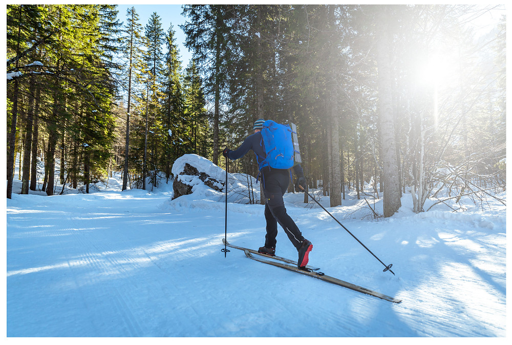 PI PRO - Backcountry