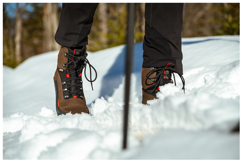 DI FREE - Backcountry